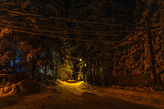 фото "Токсово"