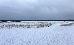 photo "***"