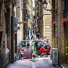 photo "Crossing"