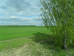 photo "***"