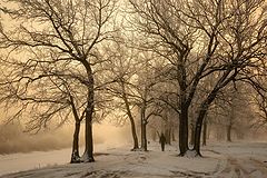 photo "***"