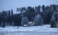 photo "***"