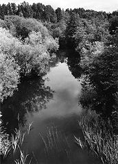 photo "***"