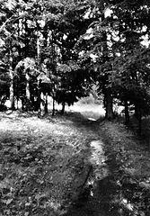 photo "***"