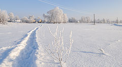 фото "Заснеженным полем"