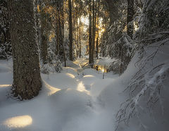 фото ""Неровная дорога" :)"