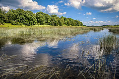 photo "Summer Time"