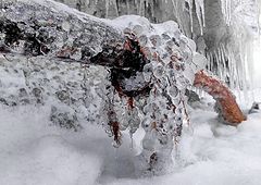 фото "Природные подвески"