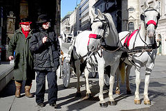 фото "Vienna - carriages and coachmen."