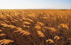 photo "Чудные дали."