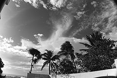 photo "***"