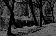 photo "CA4"
