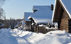 фото "Последний живой"