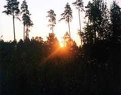 photo "***"