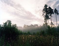 photo "***"