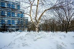 photo "***"