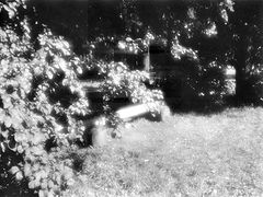 photo "***"