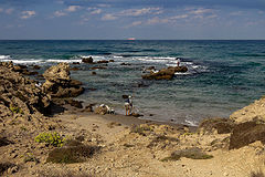 photo "***"