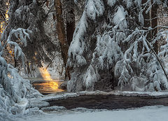 фото "Луч"