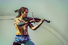 photo "Violin Solo"