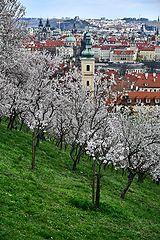 фото "Пражская весна"