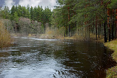 фото "10 апреля,разлив на реке"