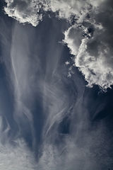 photo "CLD1"