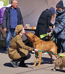 photo "I am looking for a friend"