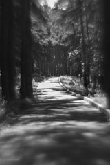 photo "***"