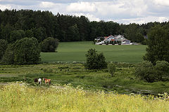 photo "***"