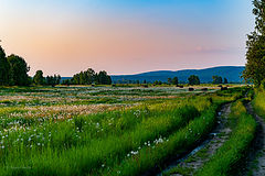 photo "***"