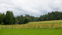photo "***"