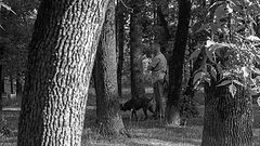 photo "***"