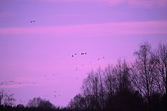 photo "***"