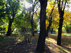 photo "***"