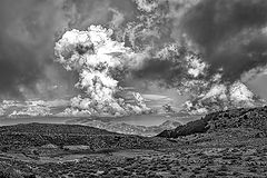 photo "Windy"