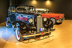 photo "Ready for Race"