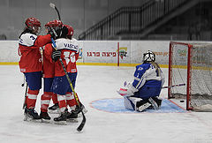 photo "Puck in goal!"