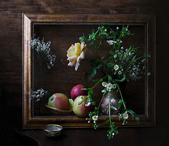 photo "***"