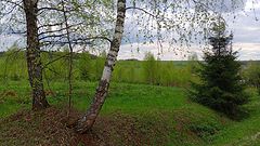 photo "***"