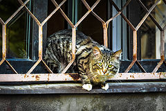 photo "Good God!"