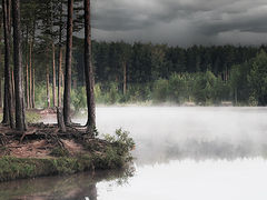 photo "***"
