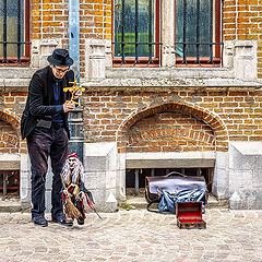фото "Развлекатель"