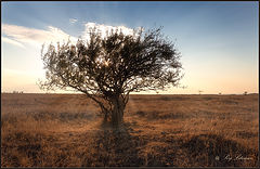 photo "***"