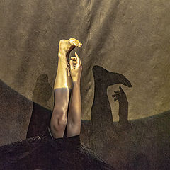 photo "Flexibility 2"