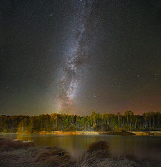 фото "Ночная осень"