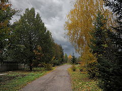 photo "***"