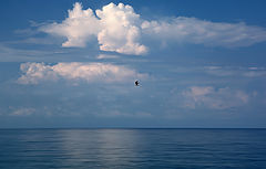 photo "***"