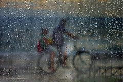 photo "Riding in the rain"