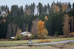 photo "***"